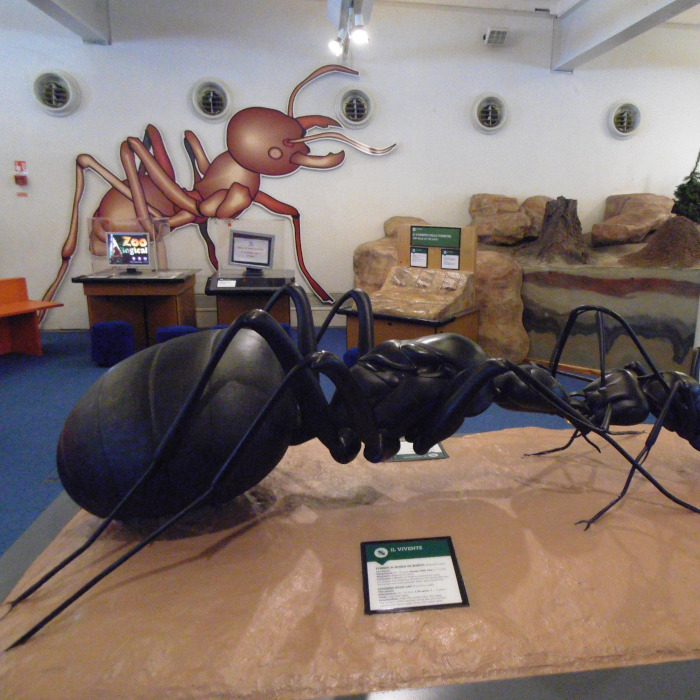 Ecology exhibit