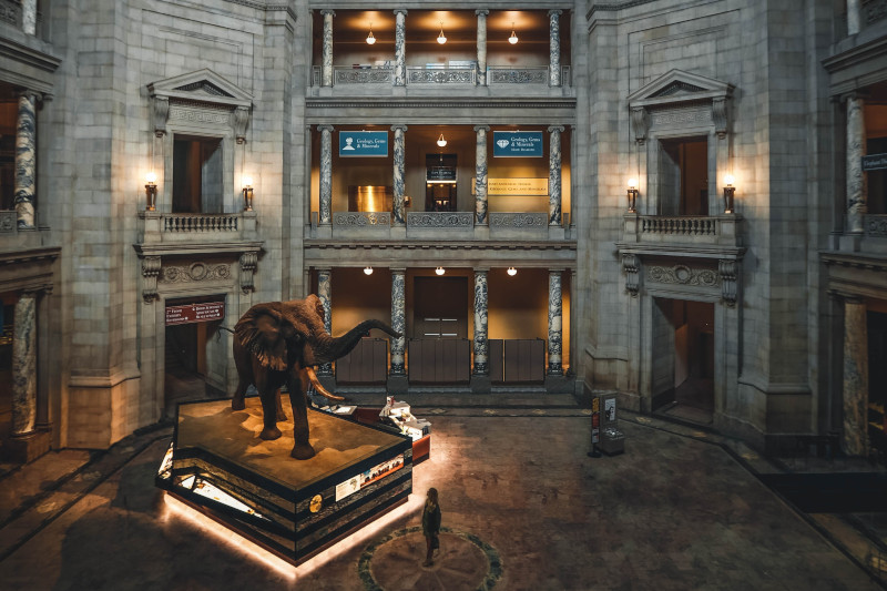 One of halls in our museum